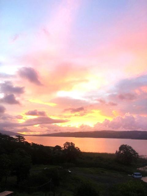 Cabinas Ole Caribe Puerto Viejo de Talamanca Eksteriør billede