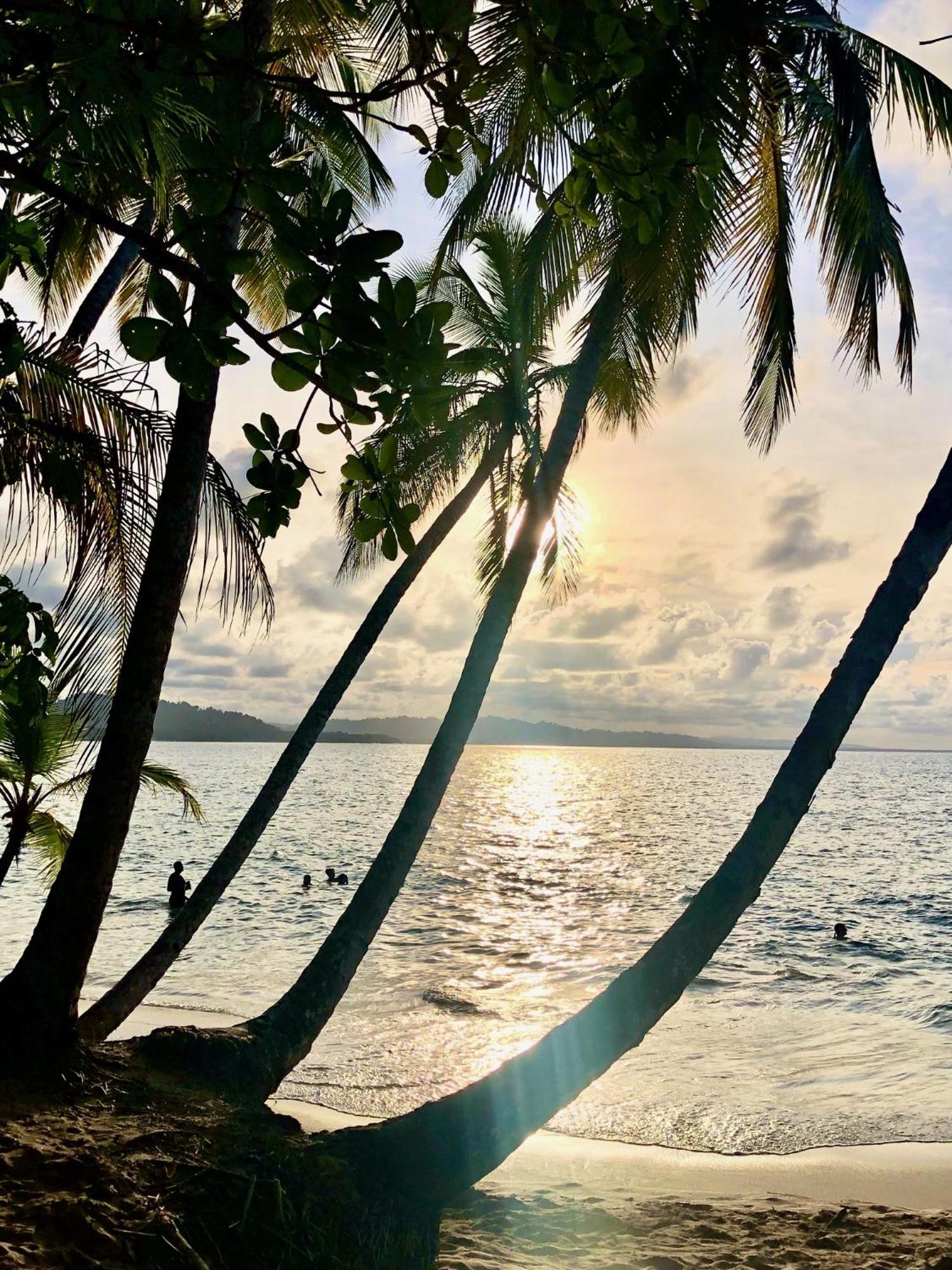 Cabinas Ole Caribe Puerto Viejo de Talamanca Eksteriør billede