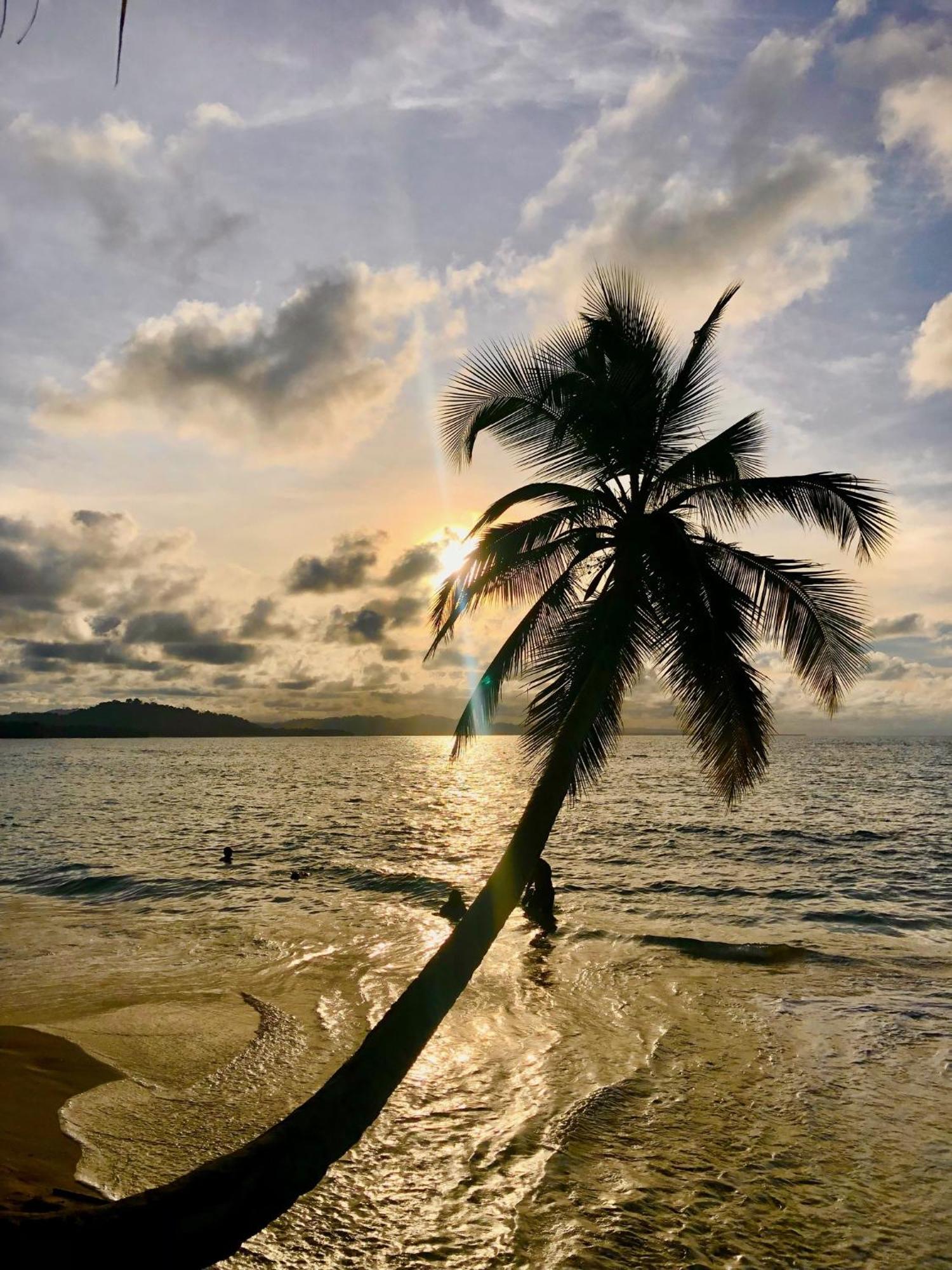 Cabinas Ole Caribe Puerto Viejo de Talamanca Eksteriør billede