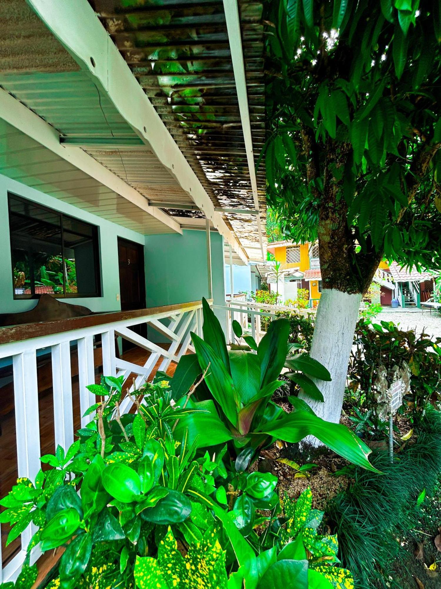 Cabinas Ole Caribe Puerto Viejo de Talamanca Eksteriør billede